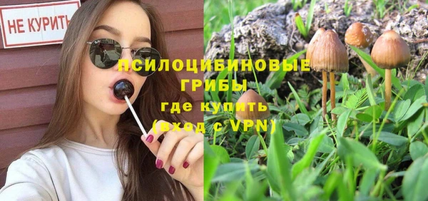 ПСИЛОЦИБИНОВЫЕ ГРИБЫ Кодинск