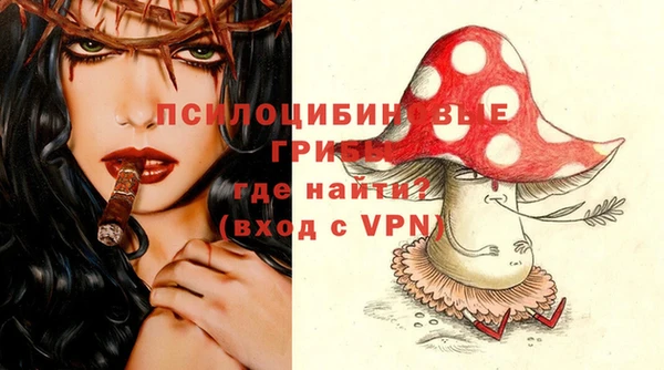 ПСИЛОЦИБИНОВЫЕ ГРИБЫ Кодинск