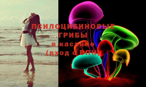 гашик Кинешма