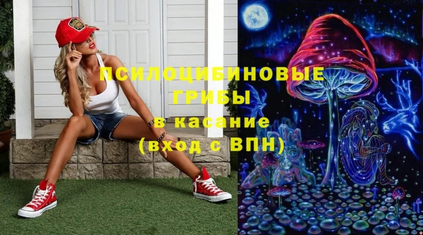 ПСИЛОЦИБИНОВЫЕ ГРИБЫ Кодинск