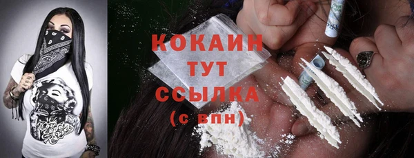 стаф Козельск