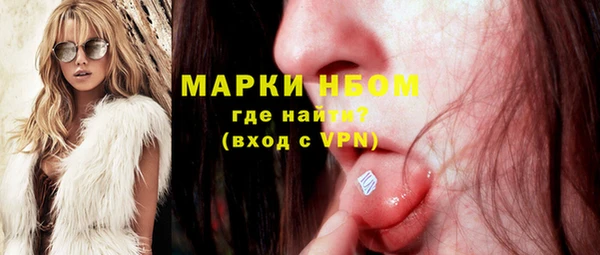 стаф Козельск