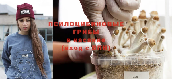 стаф Козельск